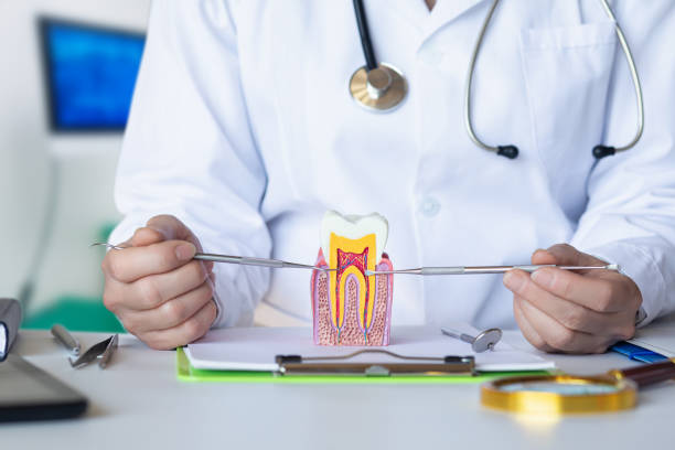 Best Emergency Orthodontic Repairs in Emporia, KS
